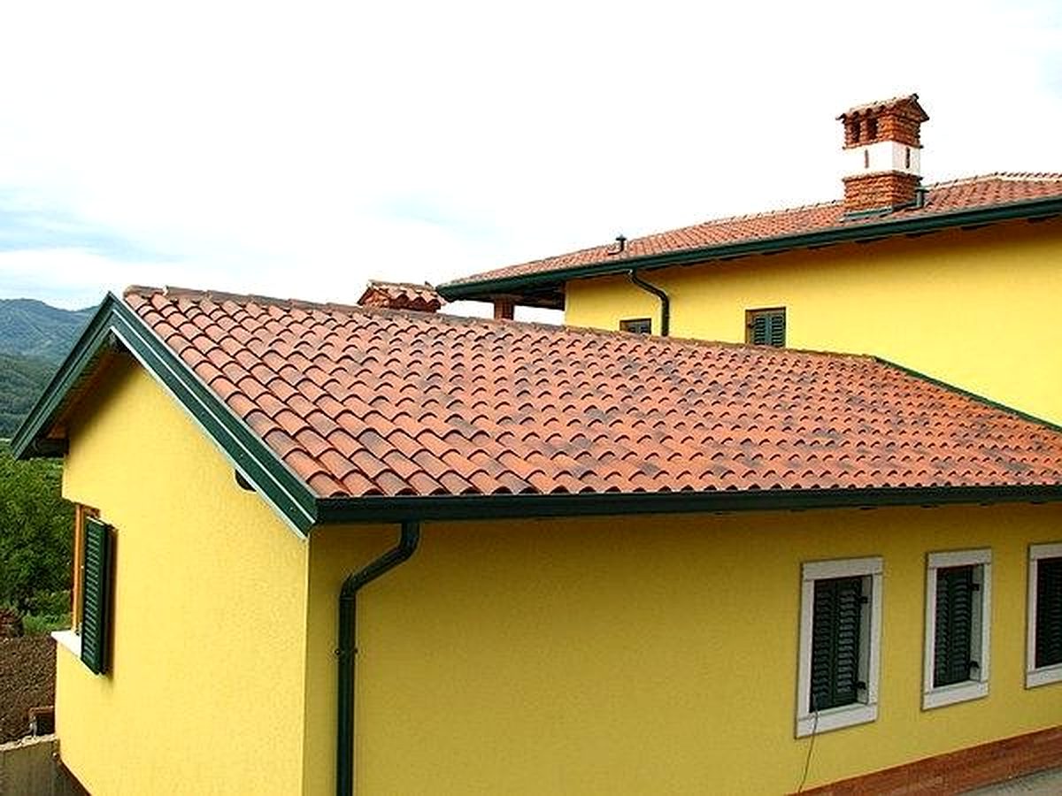 Firma Acoperisuri Brosteni