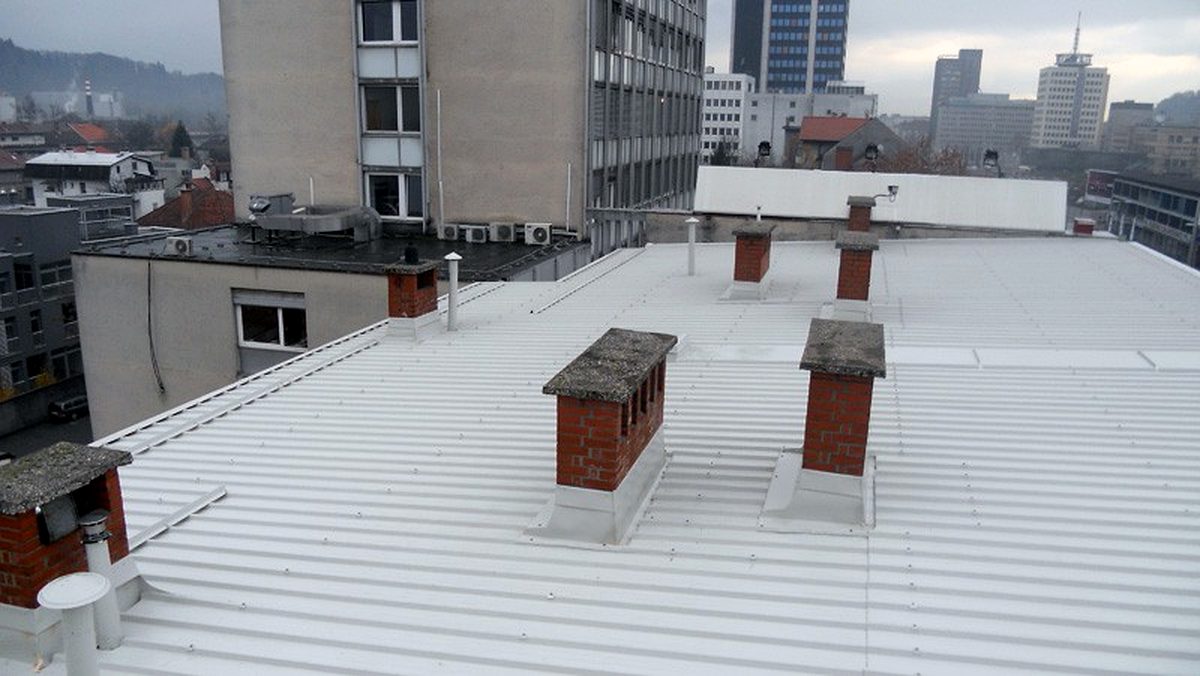 Firma Acoperisuri Snagov
