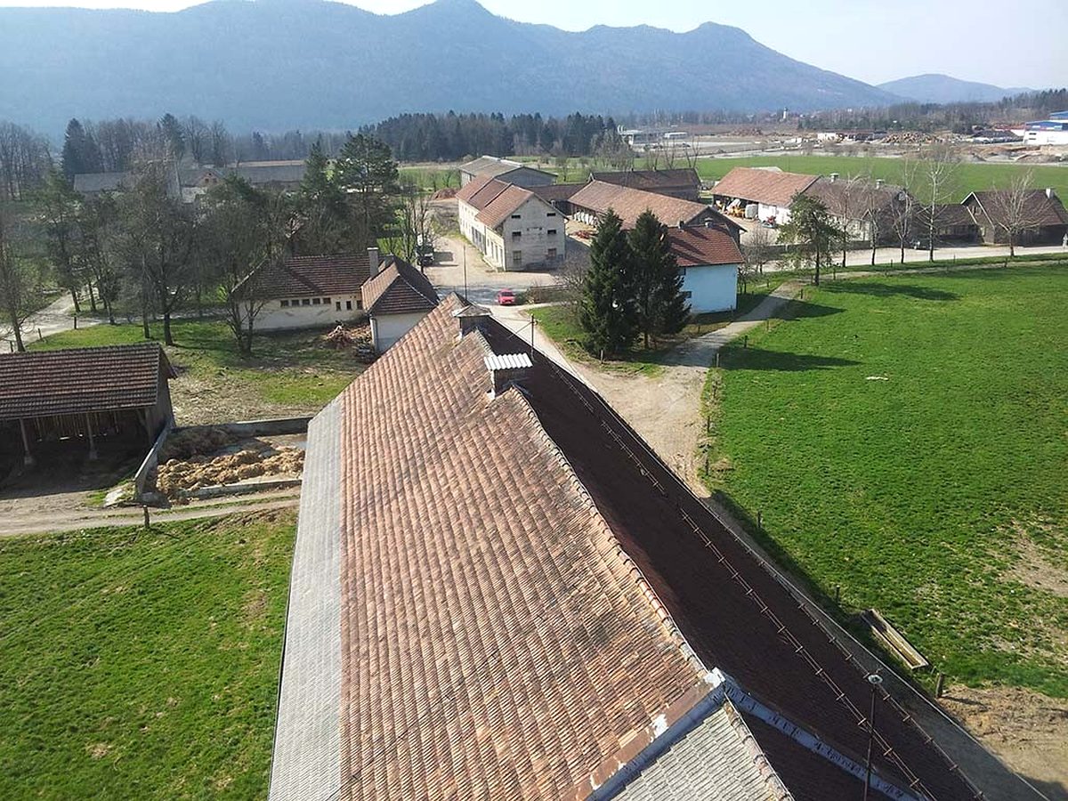 Reparatii acoperis si inlocuiri partiale