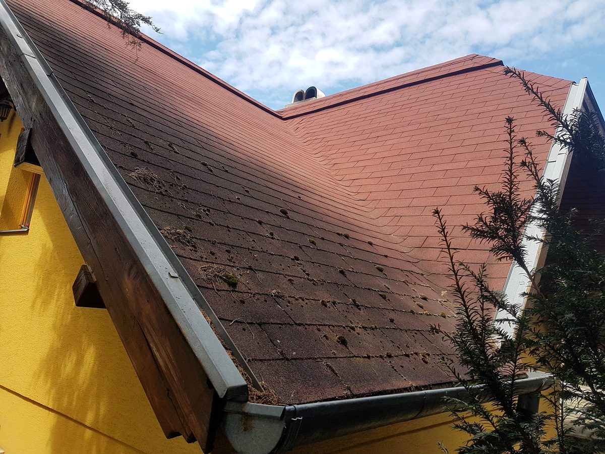 Reparatii acoperis si inlocuiri partiale