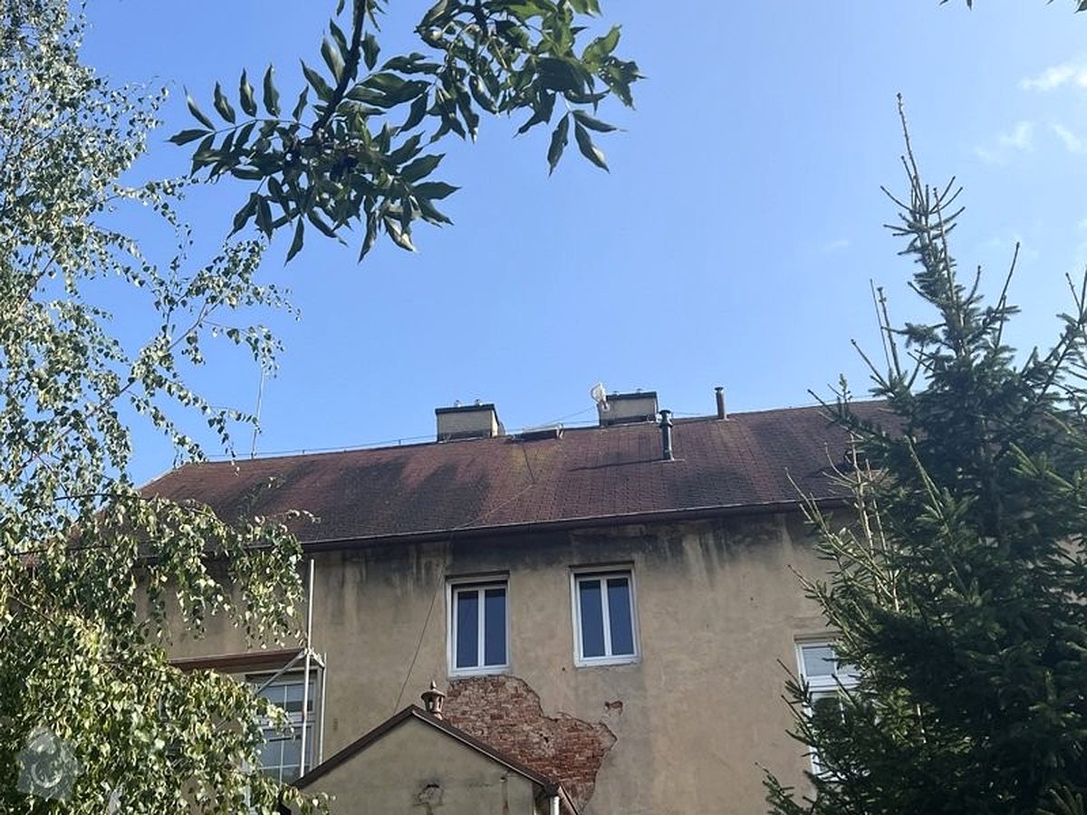 Reparatii acoperis si inlocuiri partiale